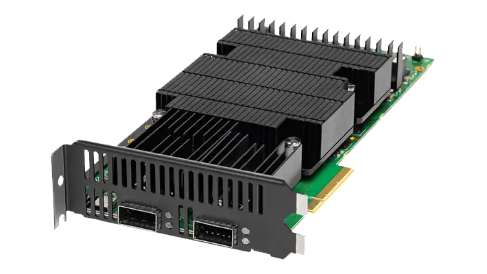 Xena Z800 Freya Back